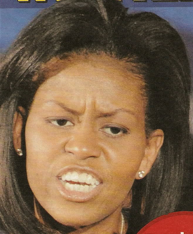 michelle obama cartoon pictures. michelle obama is fat