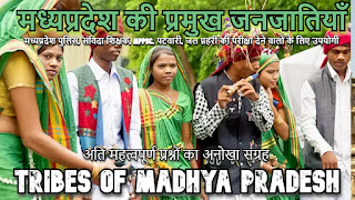 tribes of madhyapradesh