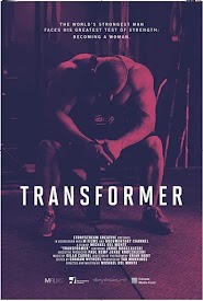 Transformer (2018)