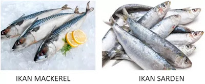 Ikan Sarden vs Ikan Mackerel