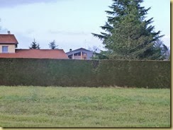 P1020779