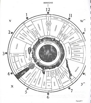 Curso Iridología Parte II