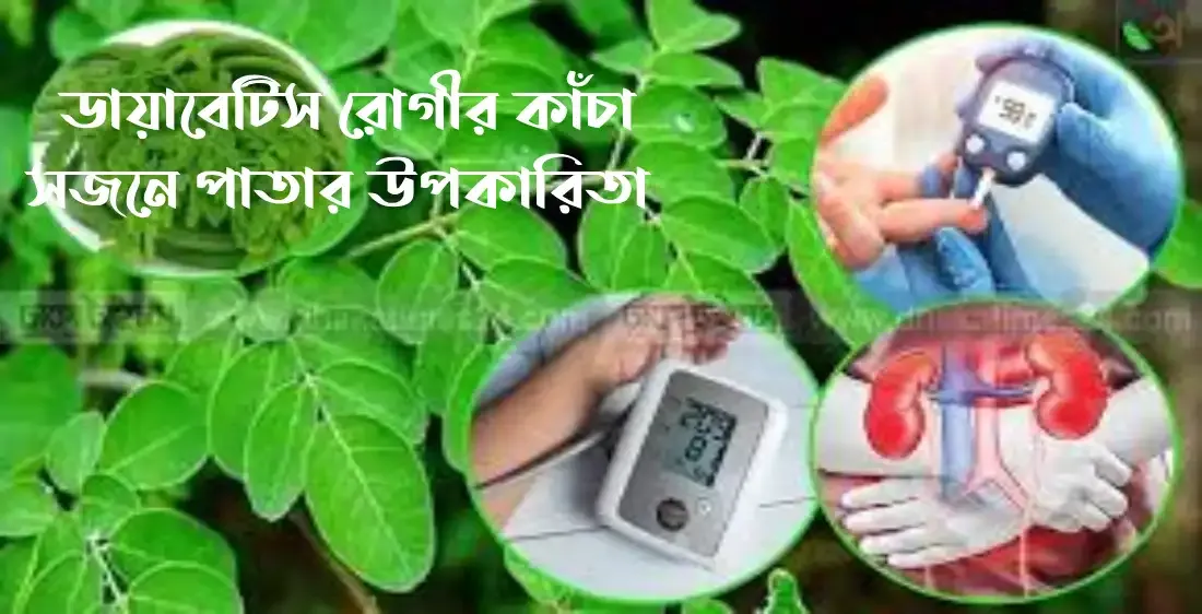 ডায়াবেটিস রোগীর কাঁচা সজনে পাতার উপকারিতা