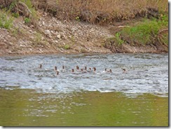 Yampa River State Park 