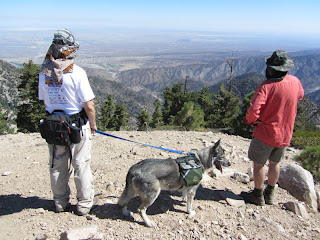 View northeast toward the Mojave Desert from the official summit of Mt. Williamson (2814’)