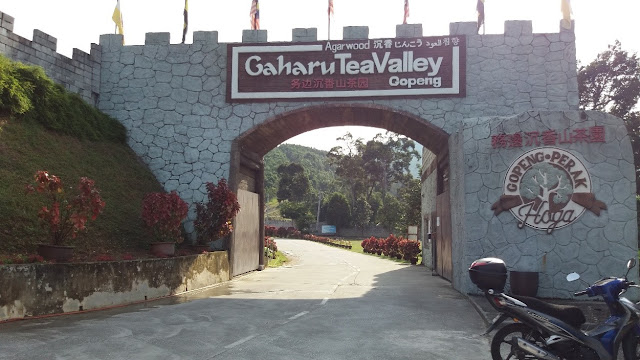 Gaharu Tea Valley Gopeng