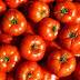 NCCF and NAFED to sell tomatoes at retail price of Rs 50 per kg from 15th August (tomorrow)