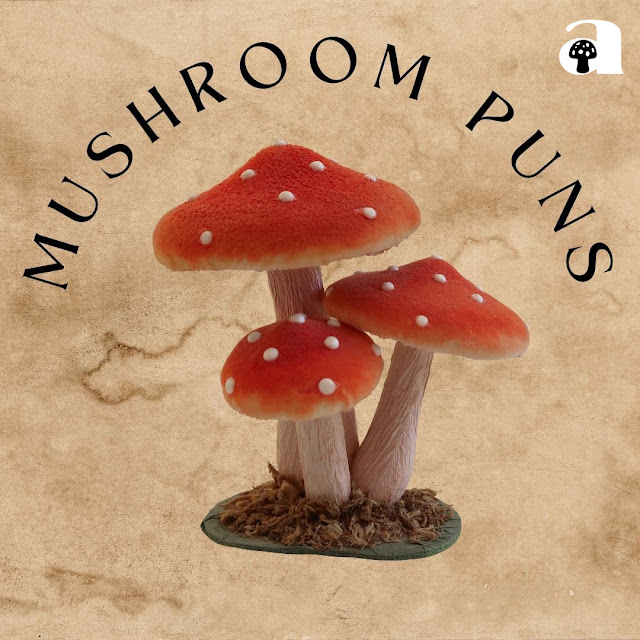 mushroom puns, jokes and one-liners_5