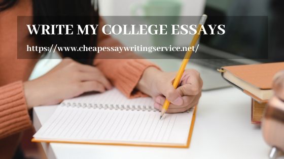  Write My College Essays