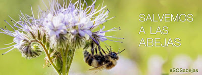 muebles ecológicos abeja