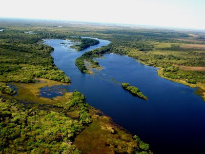 Governo de Rondônia Extingue Seis Unidades de Conservação