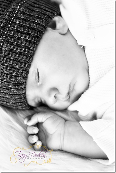 newborn blog