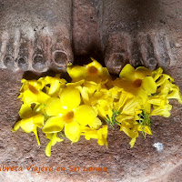 Diario de Viaje a Sri Lanka: Dambulla y Kandy