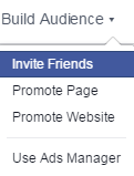 Code to Invite all Friends on Facebook Page in One Click