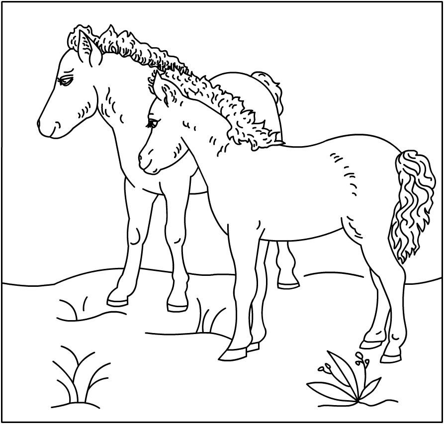 Horse Coloring Pictures 1