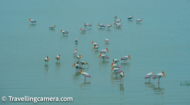Pulicat Lake is a stunning lagoon located on the border of Andhra Pradesh and Tamil Nadu in India. This beautiful lake is a popular spot for birdwatchers and nature enthusiasts, as it is home to a wide variety of migratory birds and offers breathtaking views of the surrounding landscape. In this blog post, we will explore the beauty of Pulicat Lake, its birds, and the scenic drive up to the nearby space center.