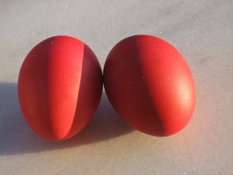 Top Telur Merah, Kreasi Telur