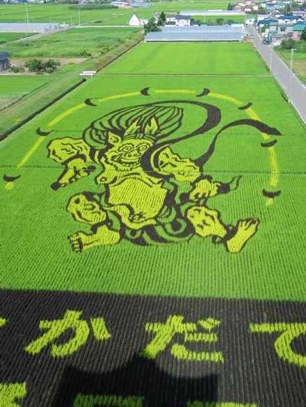 rice-paddy-art6