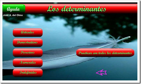 LOS DETERMINANTES