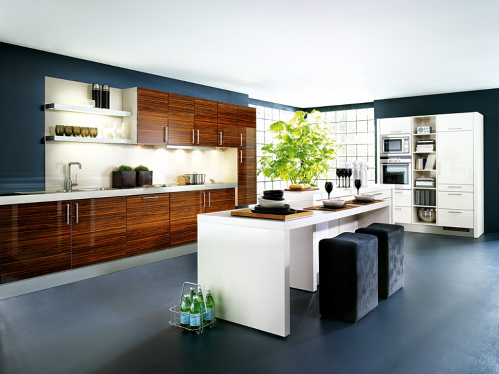 Modern Kitchen