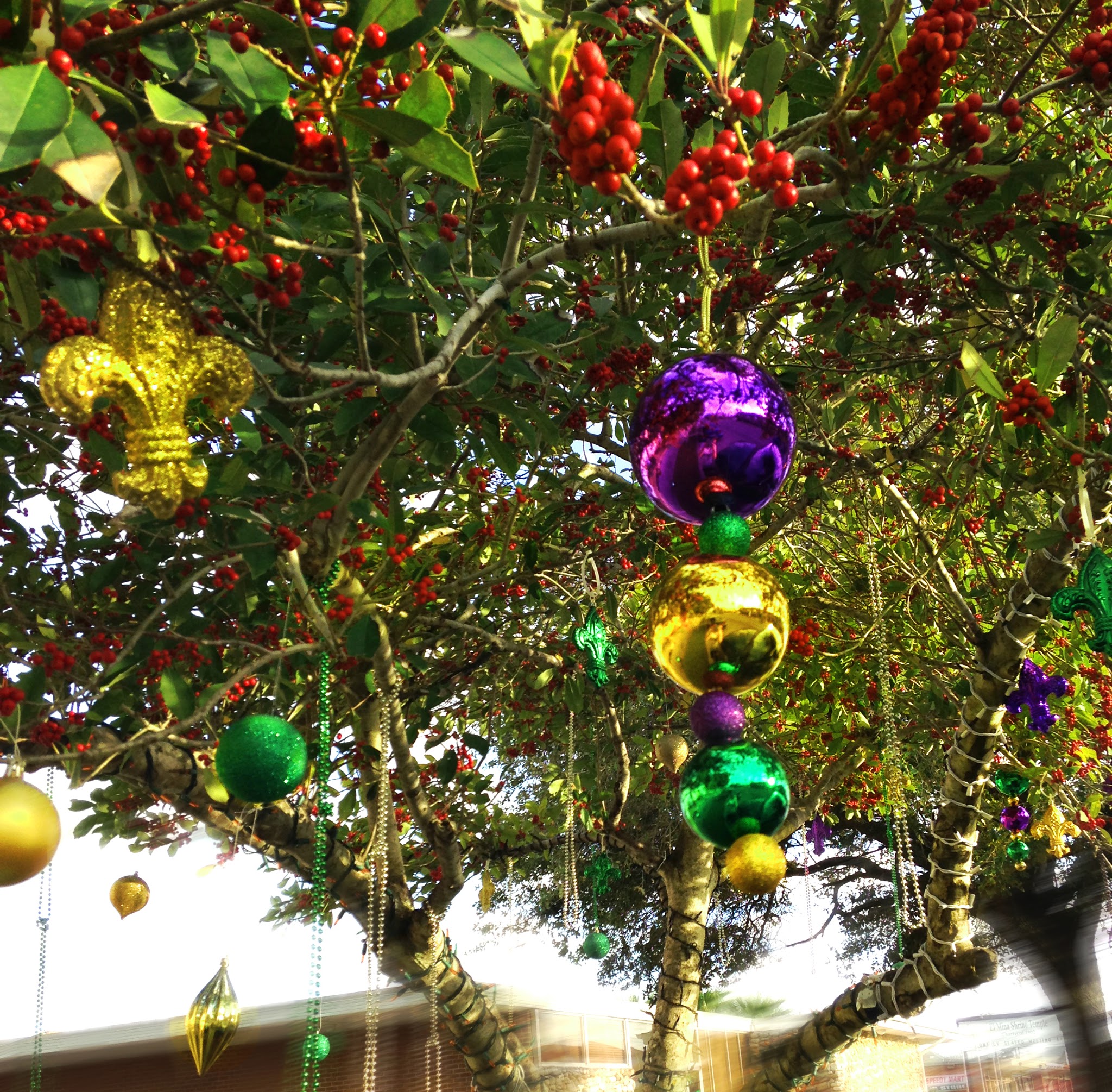 Mardi Gras Beaded Tree in Galveston