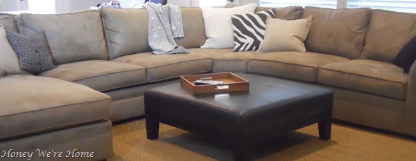 Living Room July 2010 003