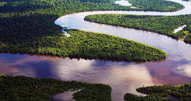 Amazon River, Longest Rivers in the World, Longest River