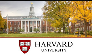 African Studies Harvard I Tatti/DHI 2023 Rom Joint Fellowship