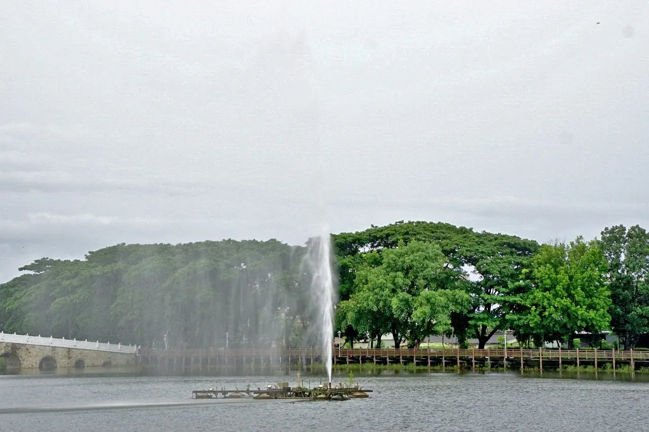 [台南][新營區] 天鵝湖公園｜埤寮埤｜新營唯一天然湖泊｜嘉南埤川國家級濕地｜遊記