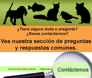 http://guatepets.blogspot.com/2018/07/contactenos.html