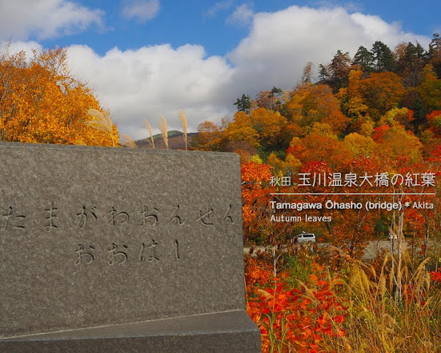 玉川温泉大橋から見る紅葉