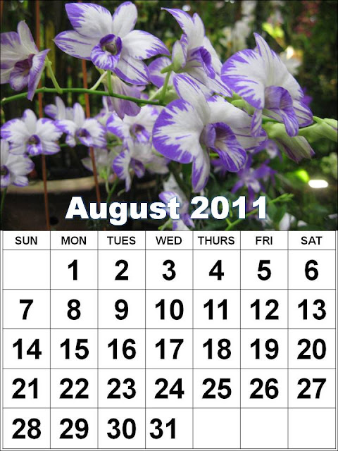 printable august 2011 calendar. august 2011 printable calendar