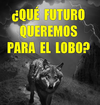 http://accionlobo.blogspot.com.es/2017/05/que-futuro-queremos-para-el-lobo.html?m=1