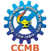 CCMB Hyderabad Project Recruitments 2024 January