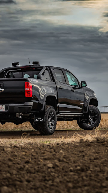 Black SUV, Car, Nature, Field