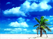 beach wallpaper for walls (beach wallpaper for walls)