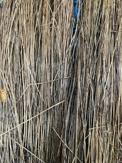 Close-up image of retted and rinsed flax