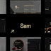 Sam Bailey Personal CV Resume WordPress Theme Review