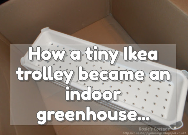 How a tiny Ikea trolley became an indoor greenhouse...