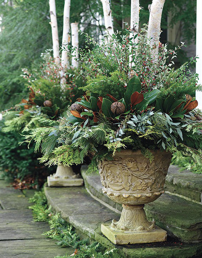 winter outdoor flower pot ideas Winter Pots with Birch | 648 x 826