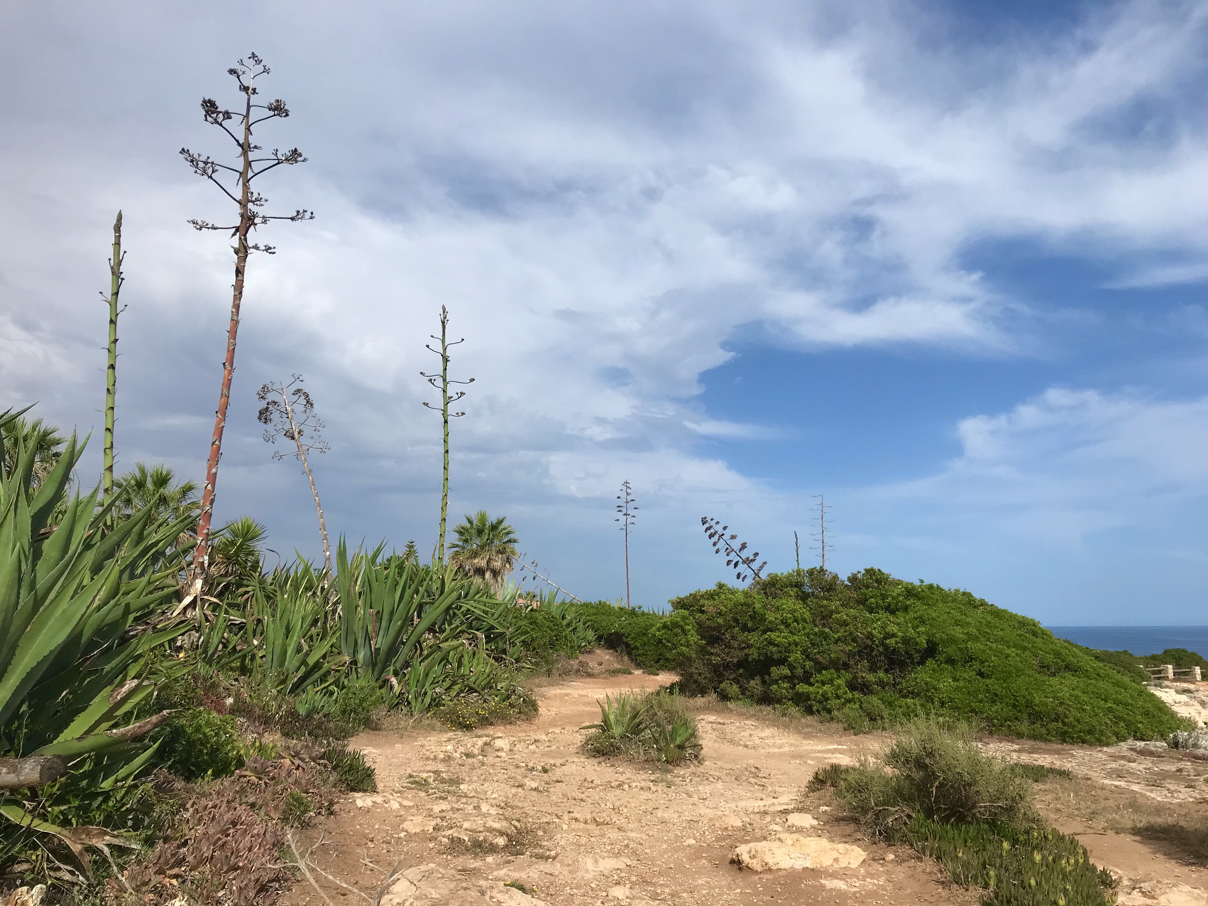 Praia da Marinha, Algar de Benagil, 7 Vales Suspensos, Trekking, walking, percurso pedestre, Algarve, Portugal