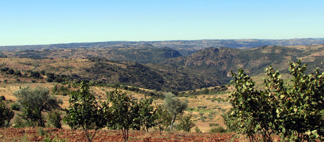 vales do nordeste transmontano