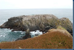 Yaquina Head lighthouse 014