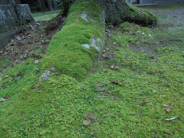 倭文神社