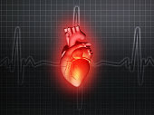 cardiac cycle,cardiac cycle physiology,cardiac cycle phases,cardiac cycle animation,cardiac,the cardiac cycle,cardiac cycle graph,cardiac cycle systole,cardiac cycle blood flow,cardiac cycle simplified,heart cycle,cardiac physiology,cycle,cardiac rate,the heart cycle,cardiac phase,cardiac phases,cardiac arteries,cardiac cell contraction,cardiac conduction system,cardiac muscle (anatomical structure),physiologycardiac,cardio,ventricular diastole,diastole,cardiogram,cardiology,electrocardiogram