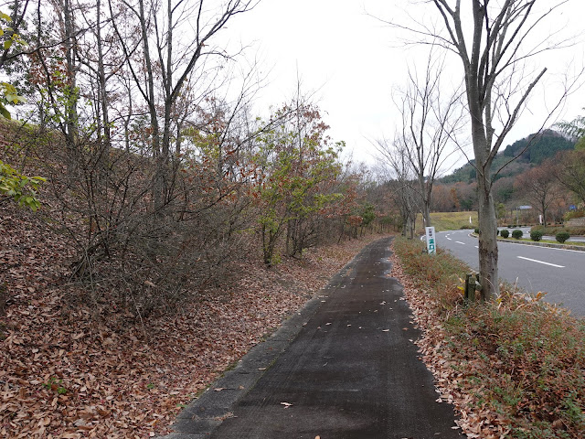 とっとり花回廊のゲートから右に歩道を歩きます