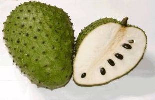 Soursop leaf for cancer treatment