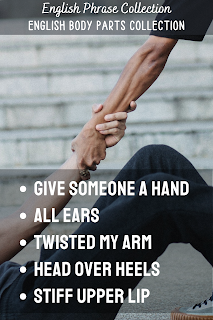English Phrase Collection | English Body Parts Collection | Give someone a hand, All ears, Twisted my arm, Head over heels, Stiff upper lip