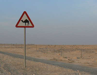 A camel sign in the Qatar desert