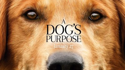 Review And Synopsis Movie A Dog's Purpose (2017) 